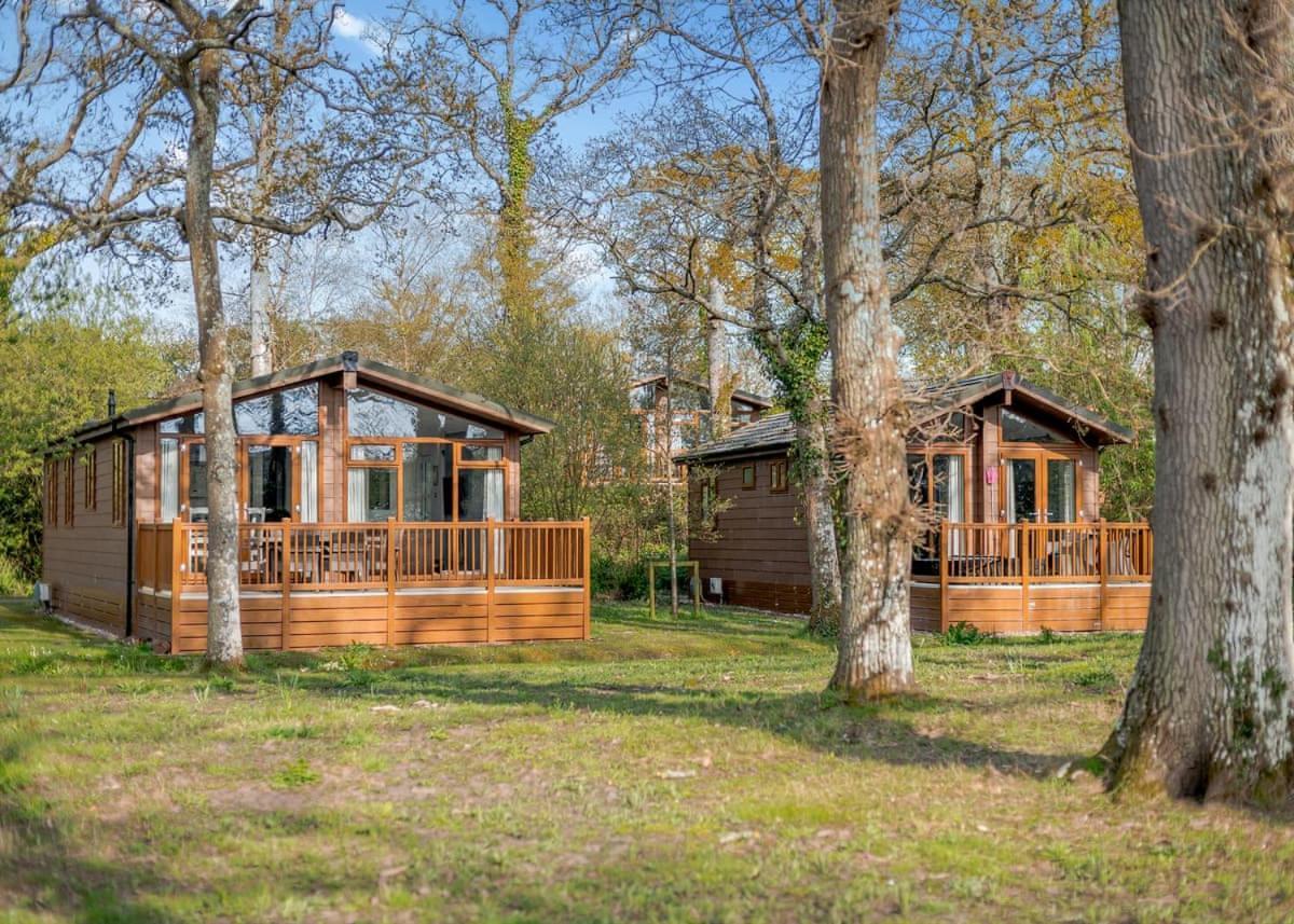Wareham Forest Lodge Retreat Lytchett Minster Eksteriør billede