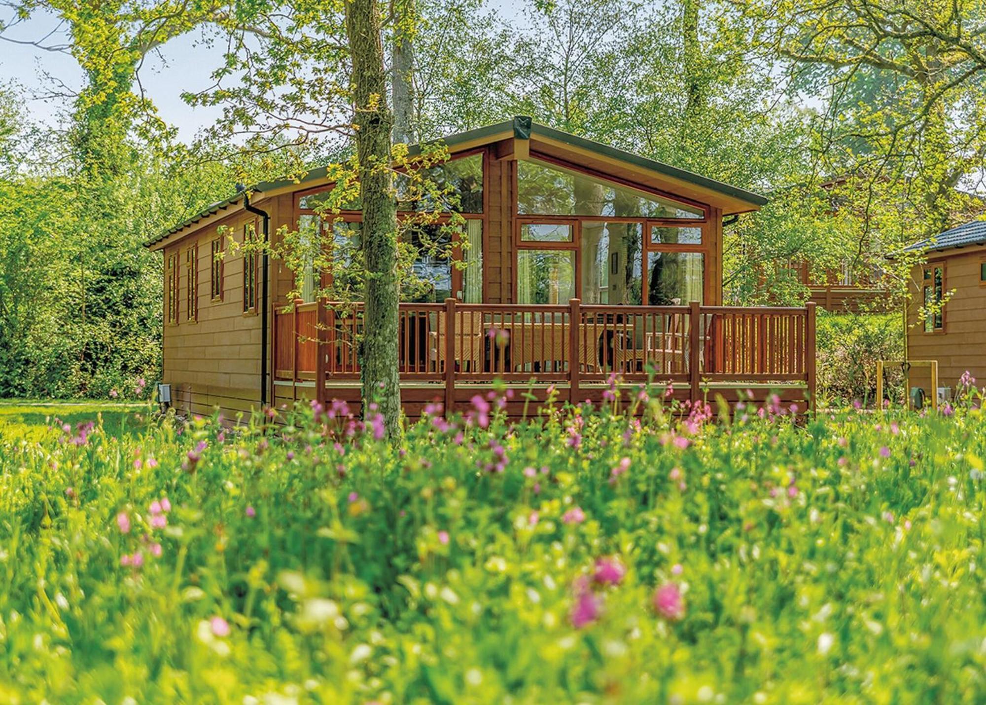 Wareham Forest Lodge Retreat Lytchett Minster Eksteriør billede